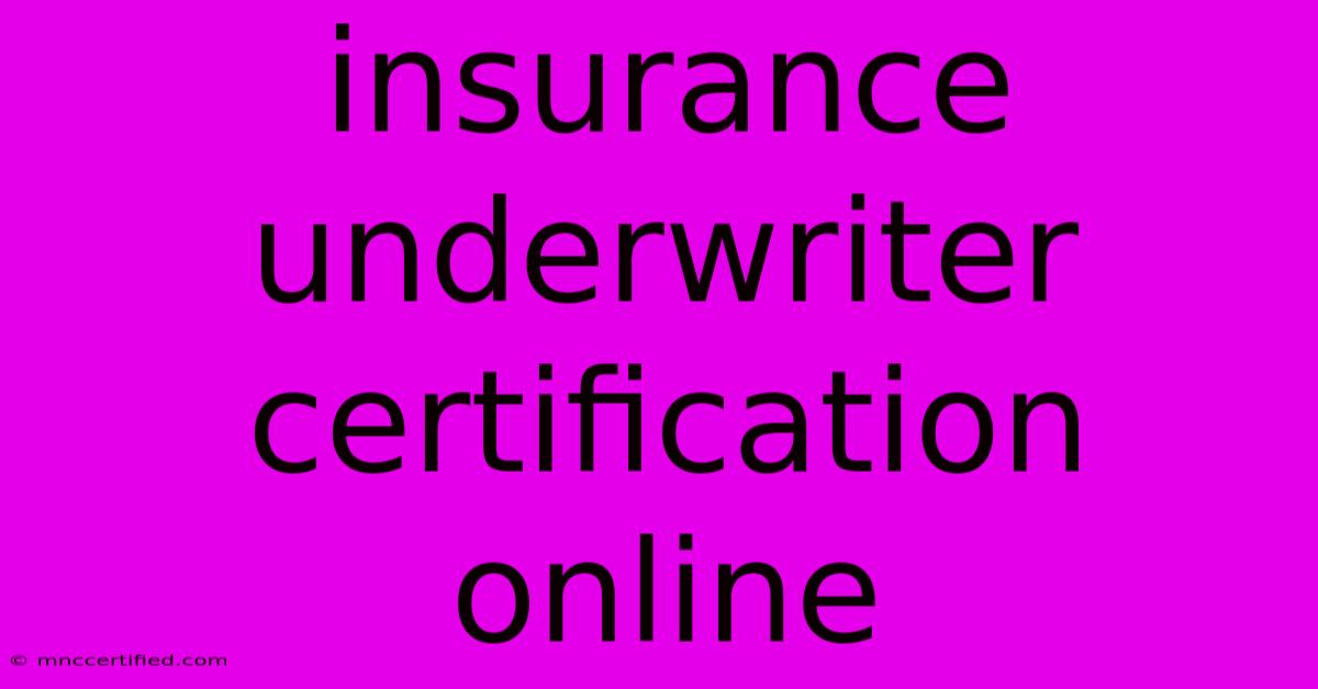 Insurance Underwriter Certification Online