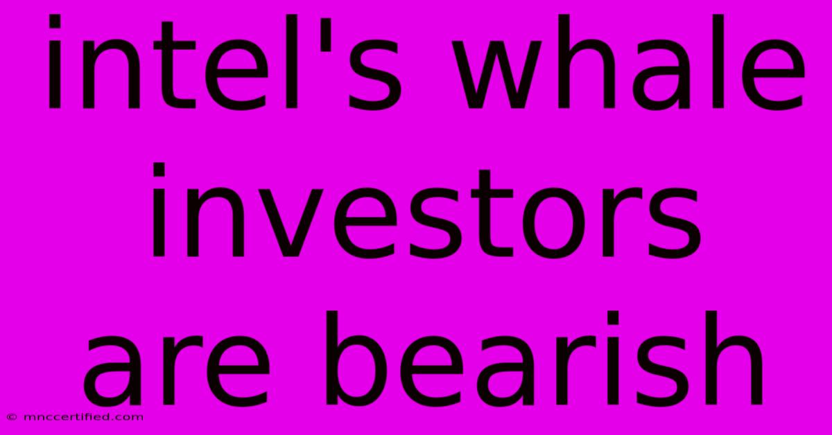 Intel's Whale Investors Are Bearish 