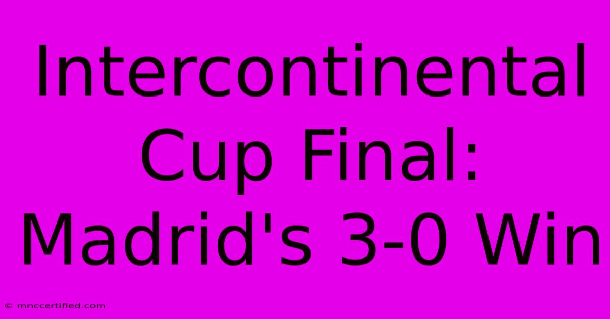 Intercontinental Cup Final: Madrid's 3-0 Win