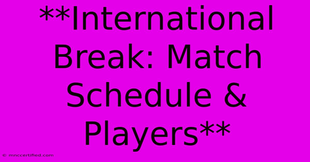 **International Break: Match Schedule & Players**