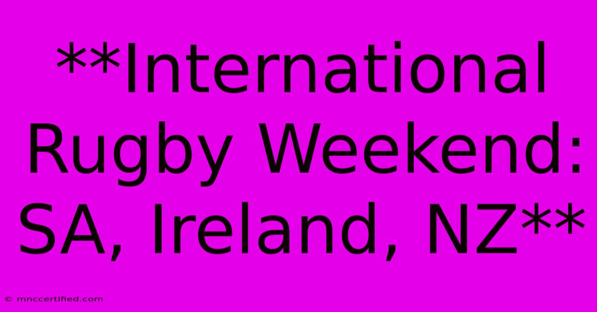 **International Rugby Weekend: SA, Ireland, NZ**