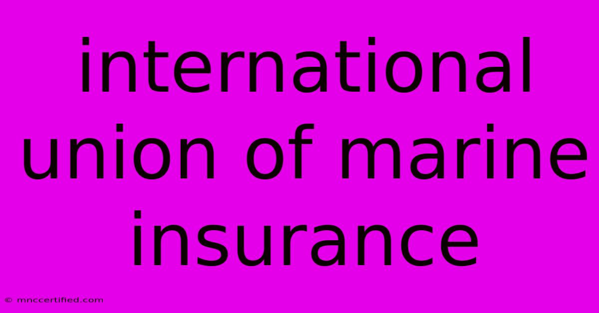 International Union Of Marine Insurance