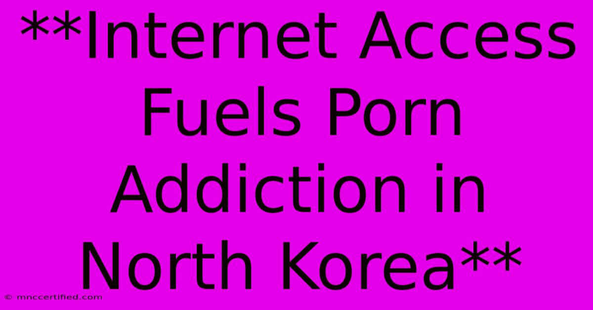 **Internet Access Fuels Porn Addiction In North Korea** 