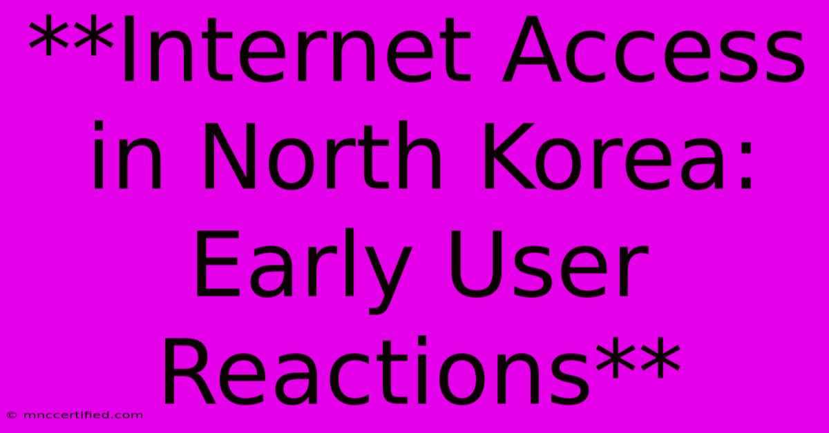 **Internet Access In North Korea: Early User Reactions**