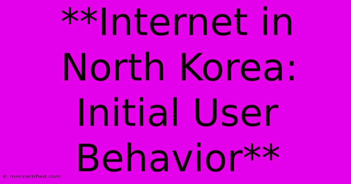 **Internet In North Korea: Initial User Behavior** 