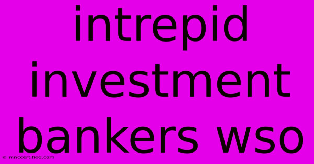 Intrepid Investment Bankers Wso