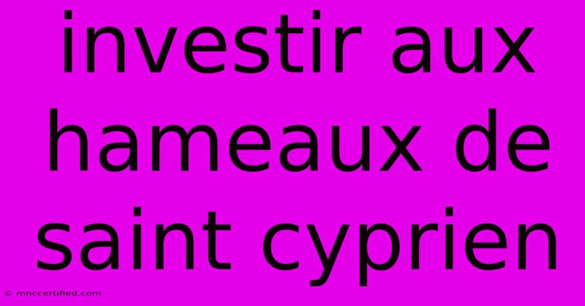 Investir Aux Hameaux De Saint Cyprien