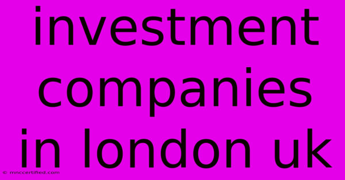 Investment Companies In London Uk