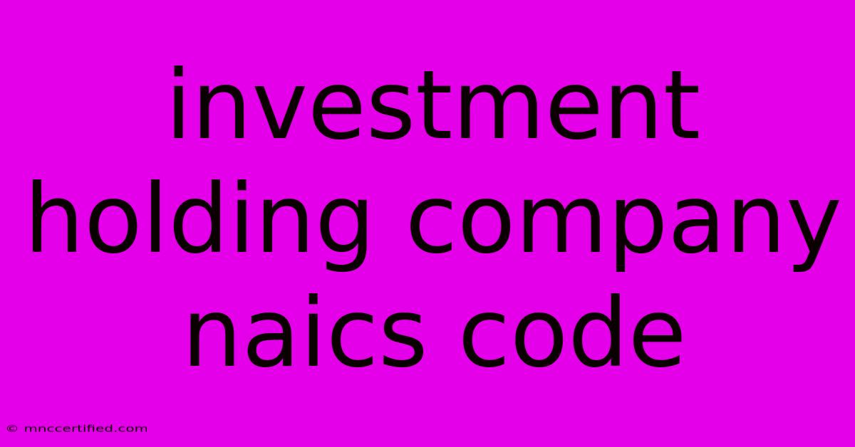 Investment Holding Company Naics Code