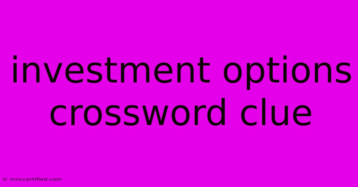 Investment Options Crossword Clue