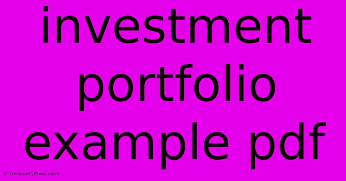 Investment Portfolio Example Pdf