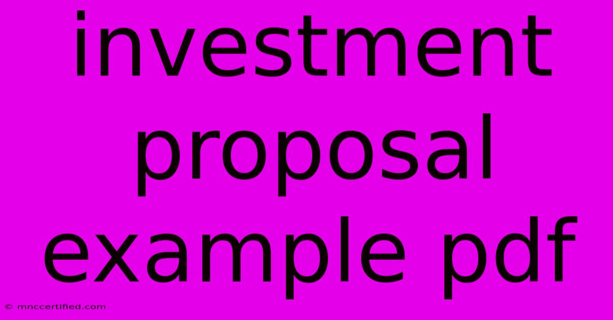 Investment Proposal Example Pdf