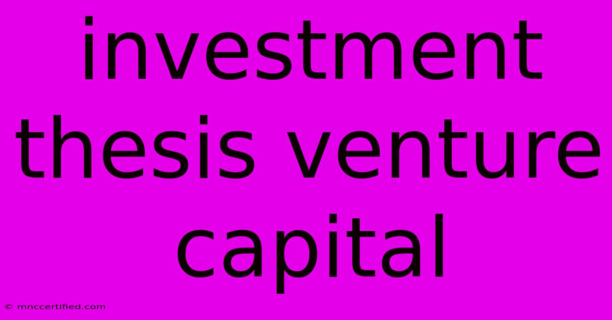 Investment Thesis Venture Capital