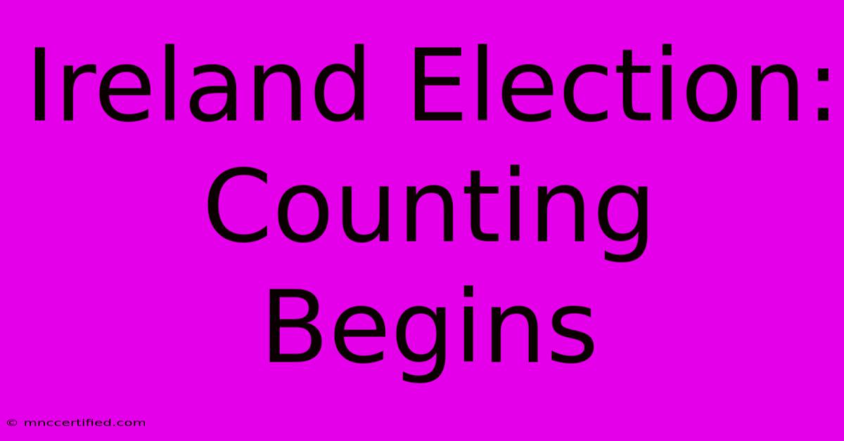 Ireland Election: Counting Begins