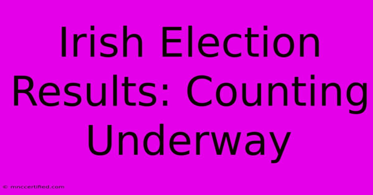 Irish Election Results: Counting Underway