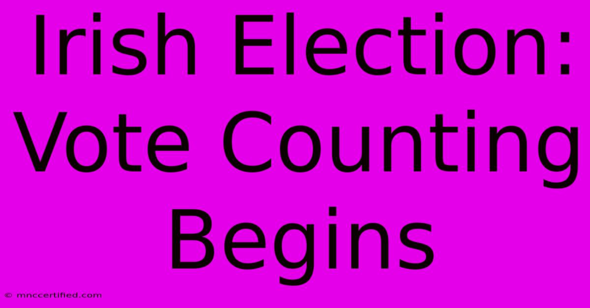 Irish Election: Vote Counting Begins