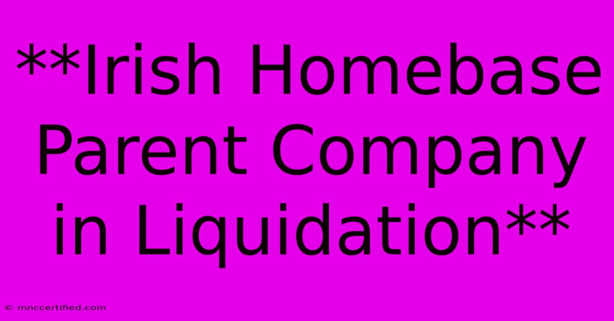 **Irish Homebase Parent Company In Liquidation**