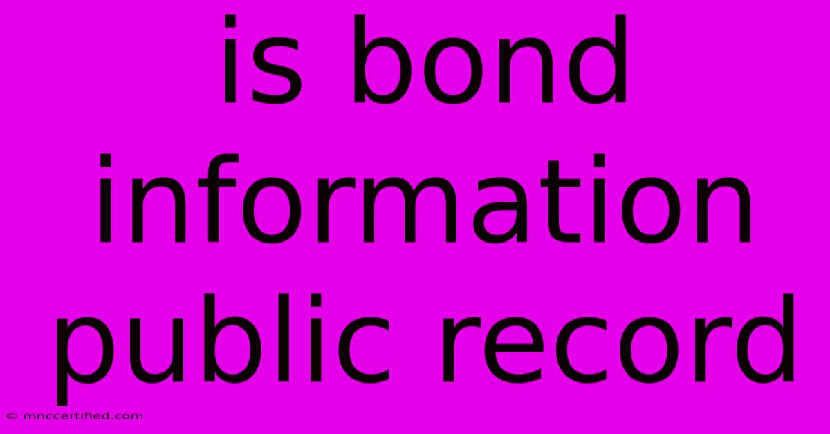 Is Bond Information Public Record