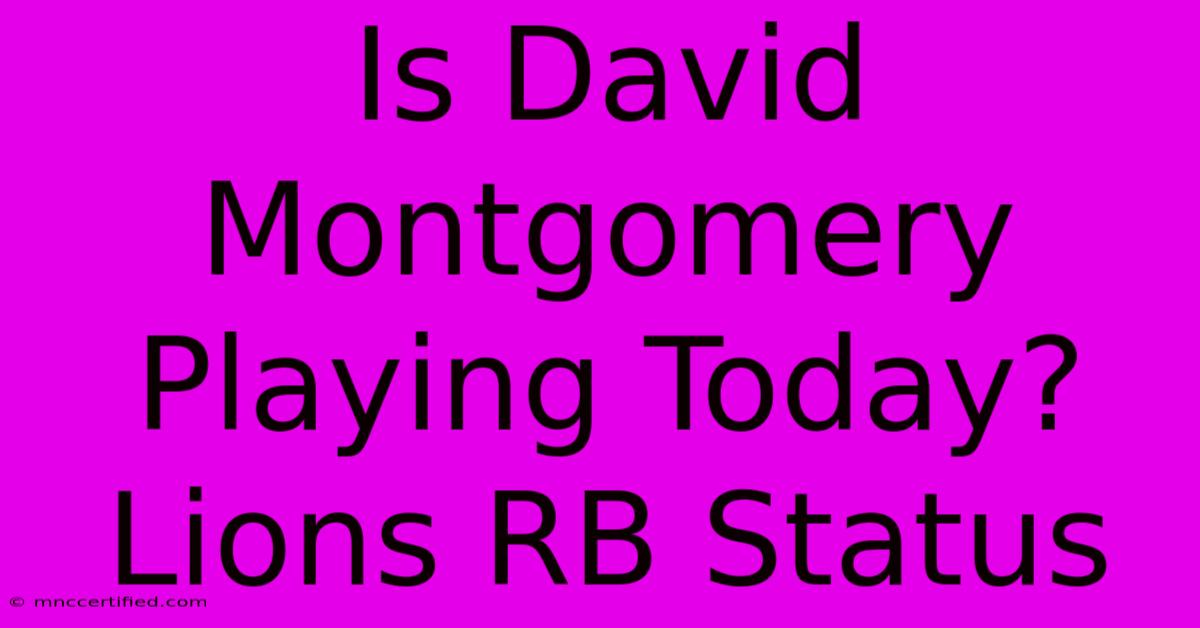 Is David Montgomery Playing Today? Lions RB Status