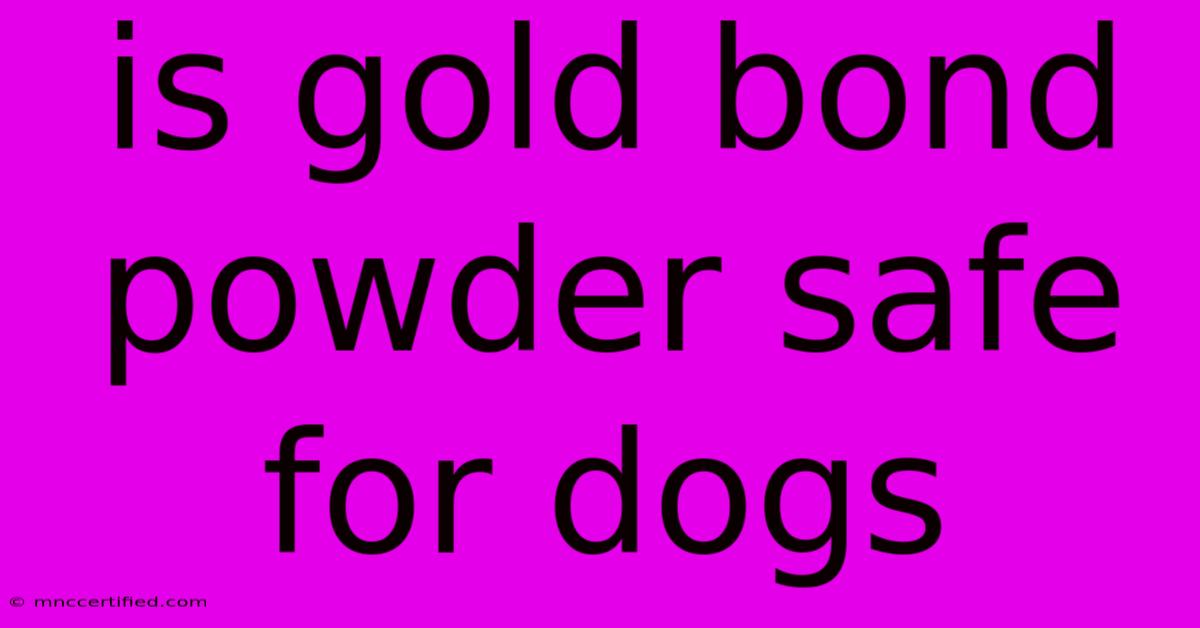 Is Gold Bond Powder Safe For Dogs