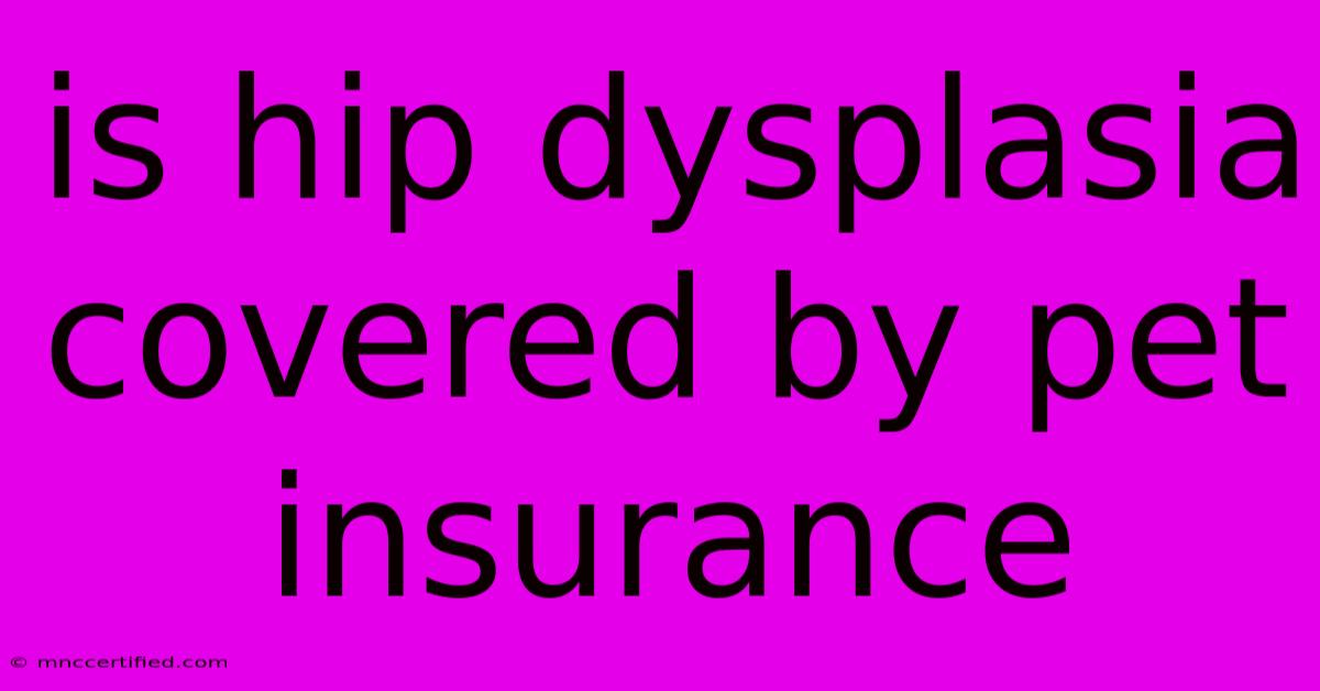 Is Hip Dysplasia Covered By Pet Insurance