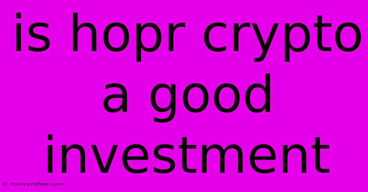 Is Hopr Crypto A Good Investment