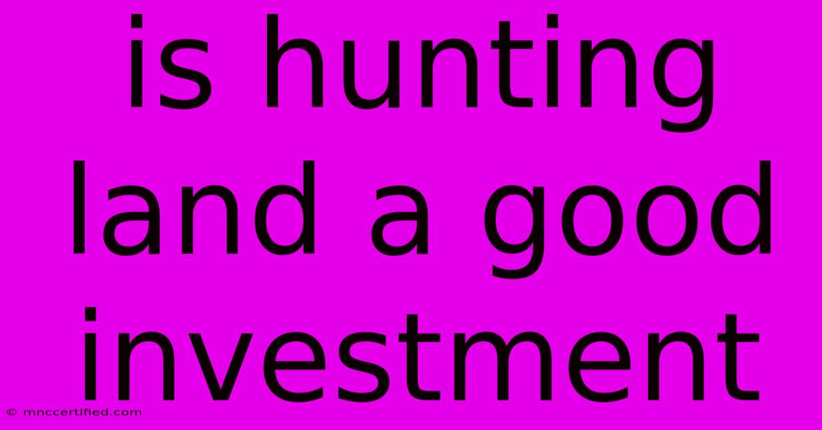 Is Hunting Land A Good Investment