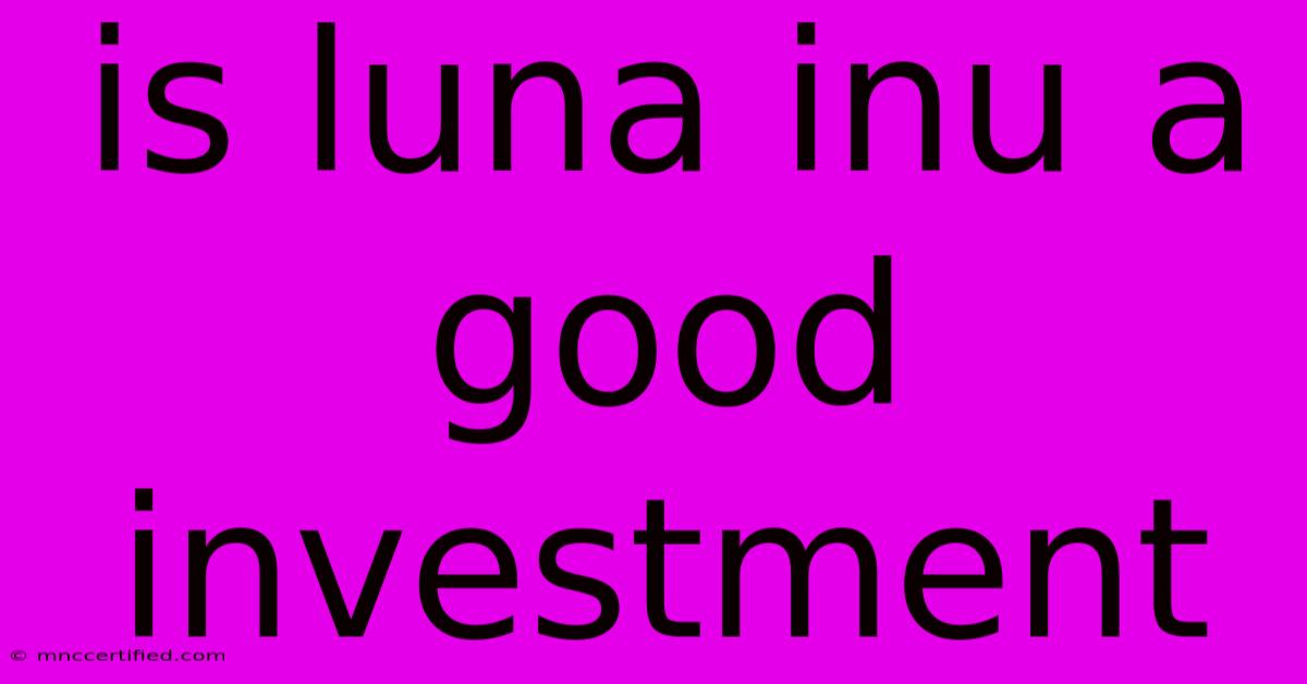 Is Luna Inu A Good Investment