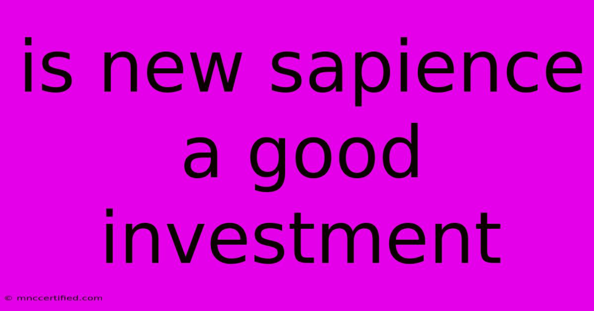 Is New Sapience A Good Investment