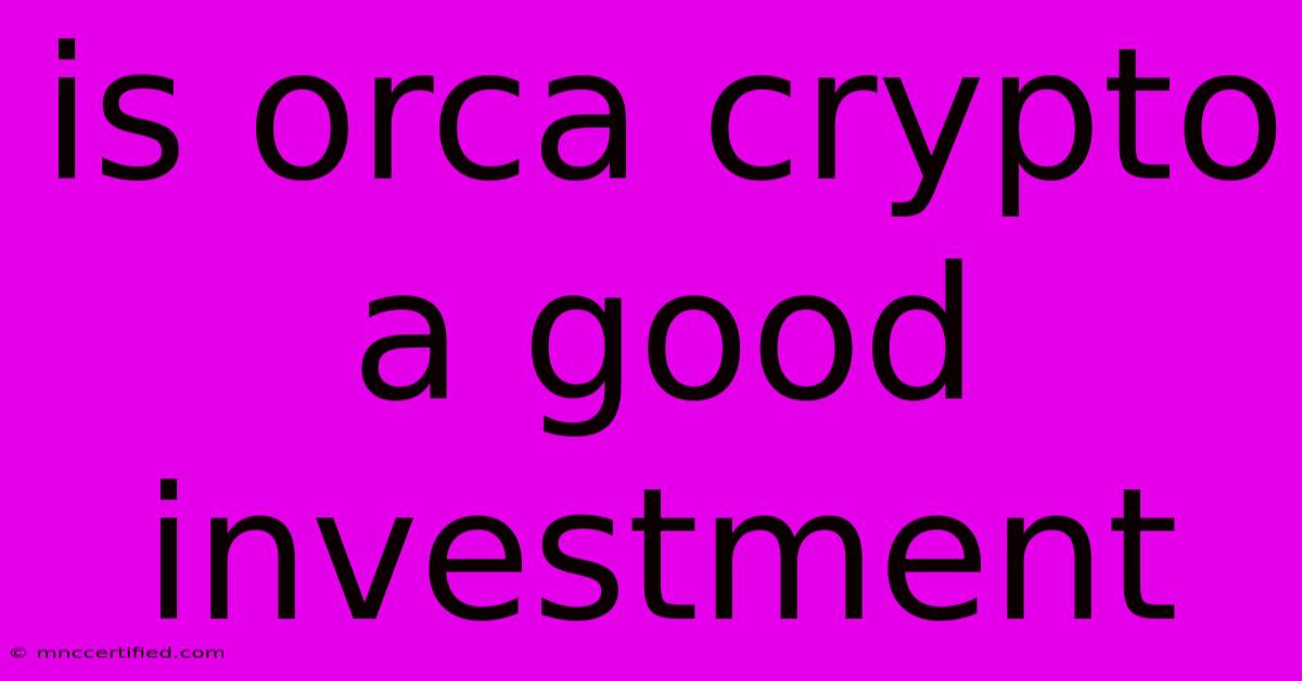 Is Orca Crypto A Good Investment