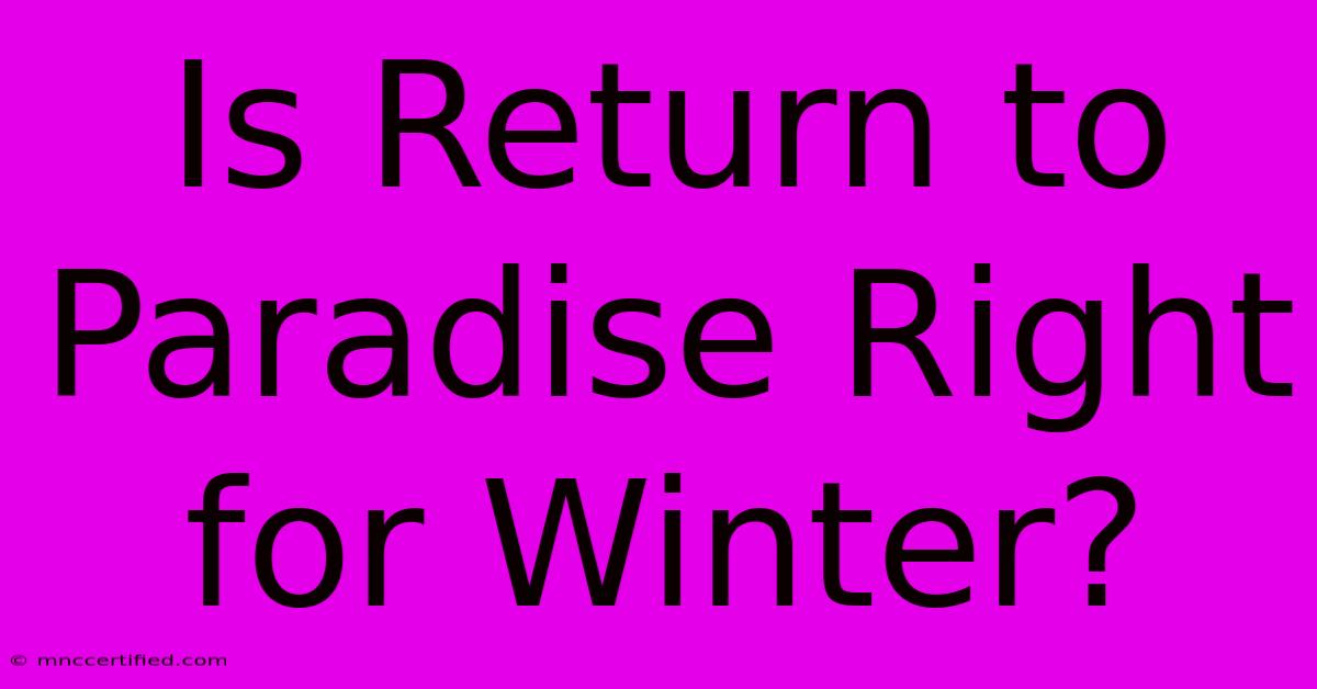 Is Return To Paradise Right For Winter?