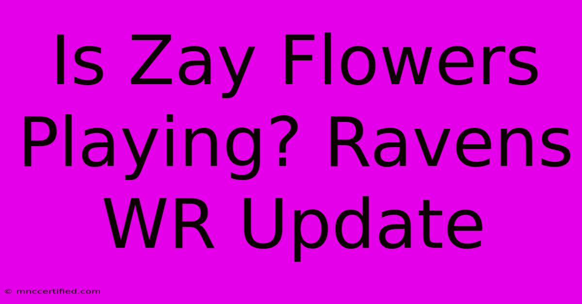 Is Zay Flowers Playing? Ravens WR Update