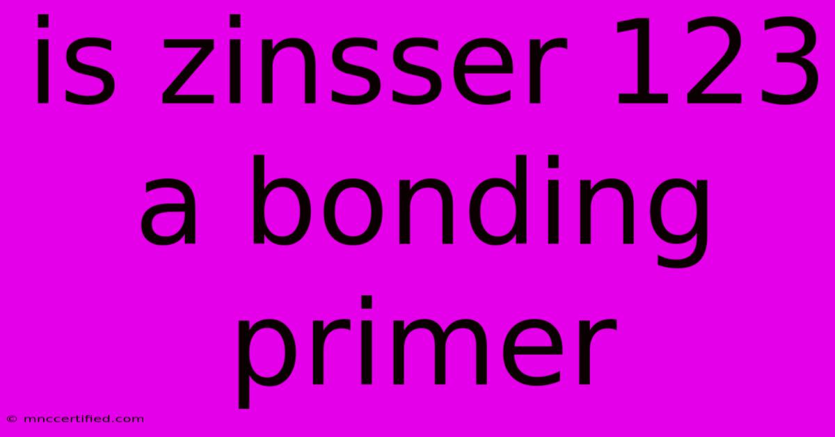 Is Zinsser 123 A Bonding Primer