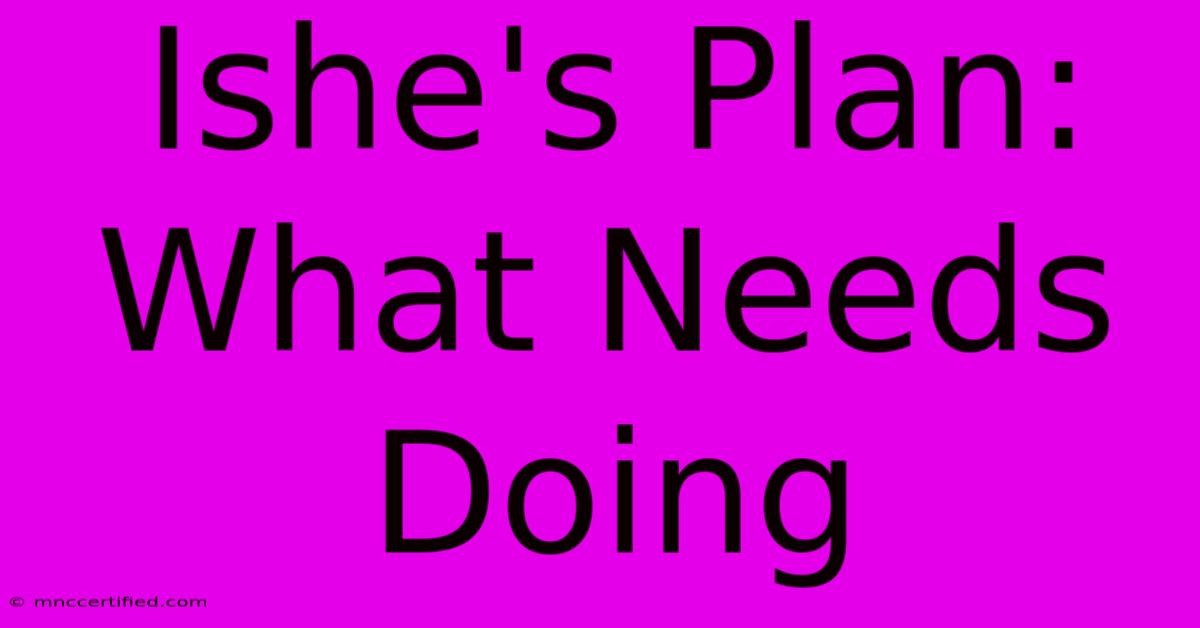 Ishe's Plan: What Needs Doing