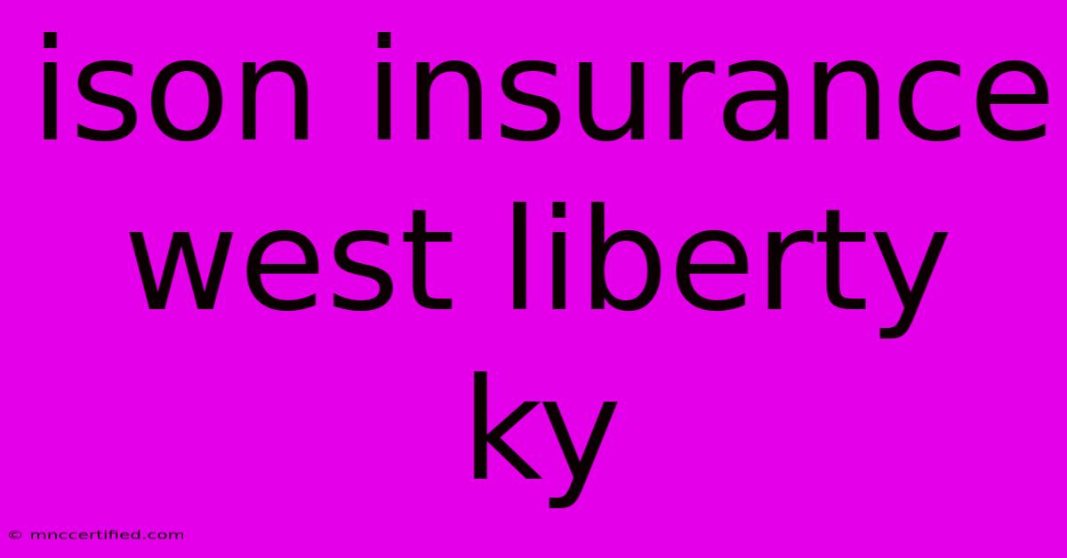 Ison Insurance West Liberty Ky