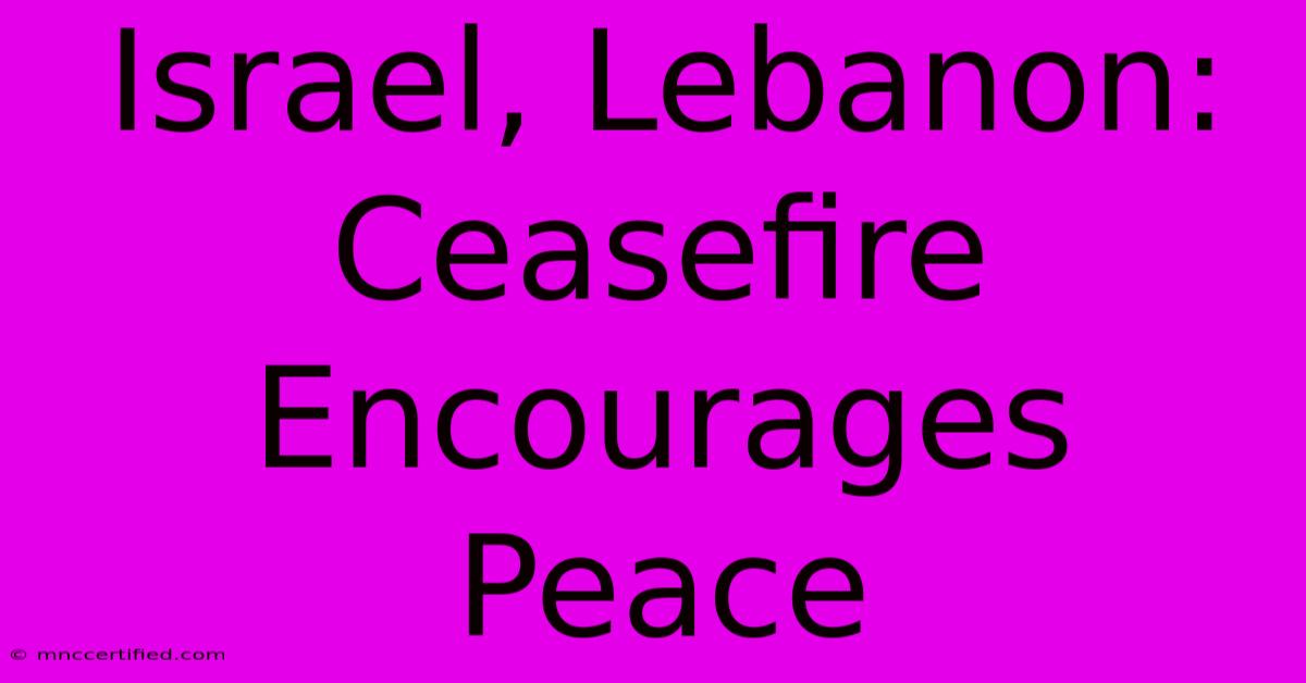 Israel, Lebanon: Ceasefire Encourages Peace