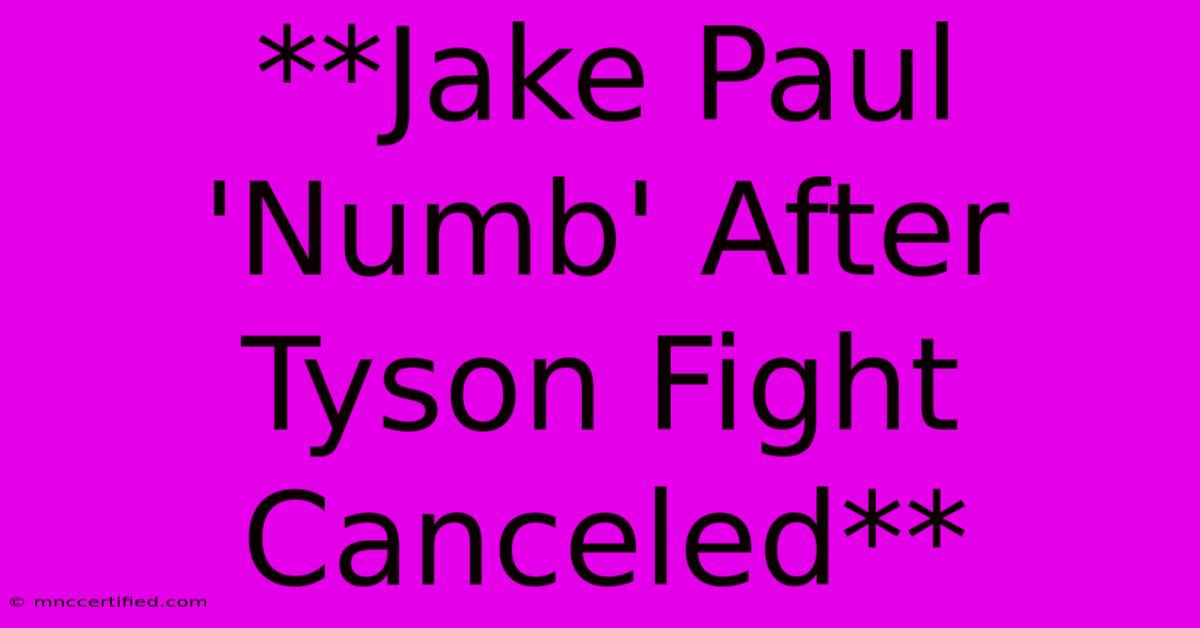 **Jake Paul 'Numb' After Tyson Fight Canceled**