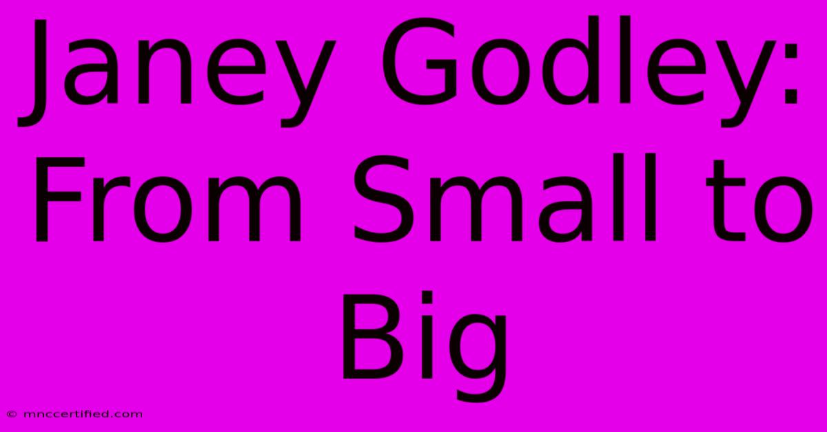 Janey Godley: From Small To Big