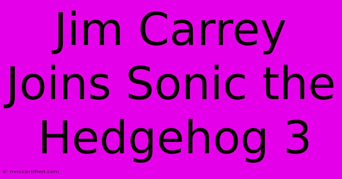 Jim Carrey Joins Sonic The Hedgehog 3