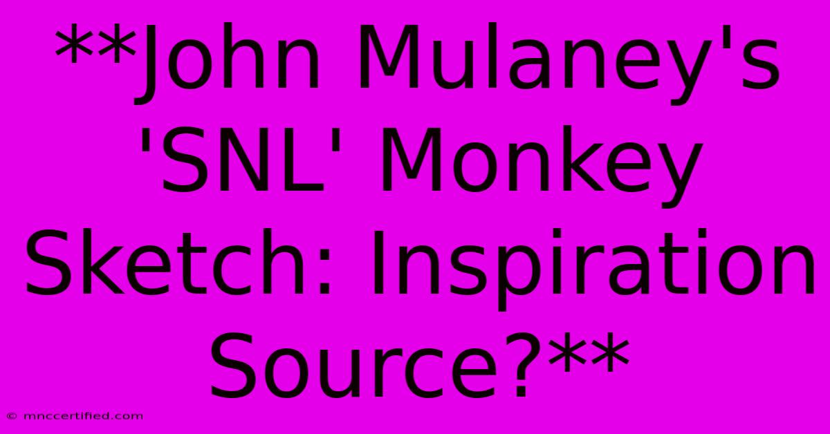 **John Mulaney's 'SNL' Monkey Sketch: Inspiration Source?**