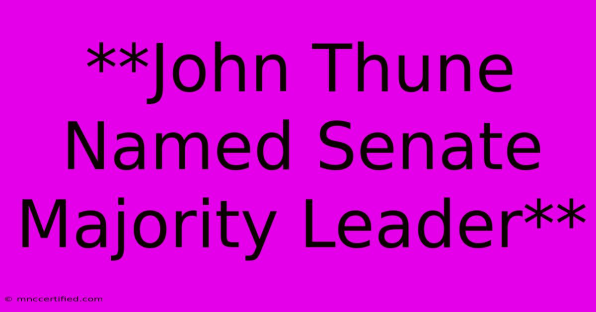 **John Thune Named Senate Majority Leader**