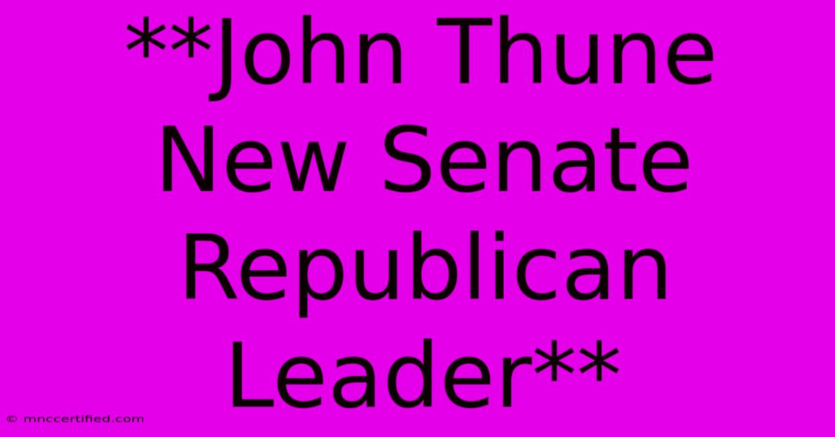 **John Thune New Senate Republican Leader**