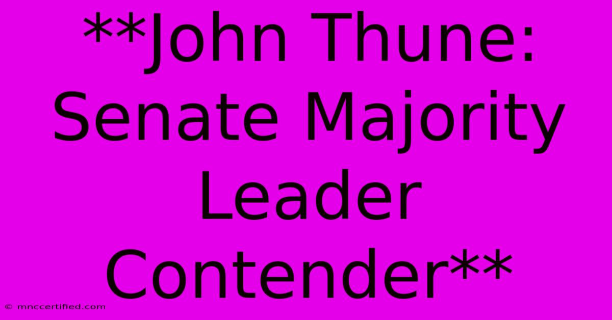 **John Thune:  Senate Majority Leader Contender**