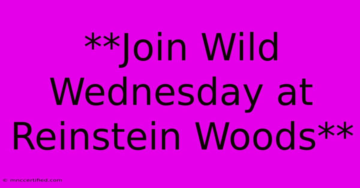 **Join Wild Wednesday At Reinstein Woods** 