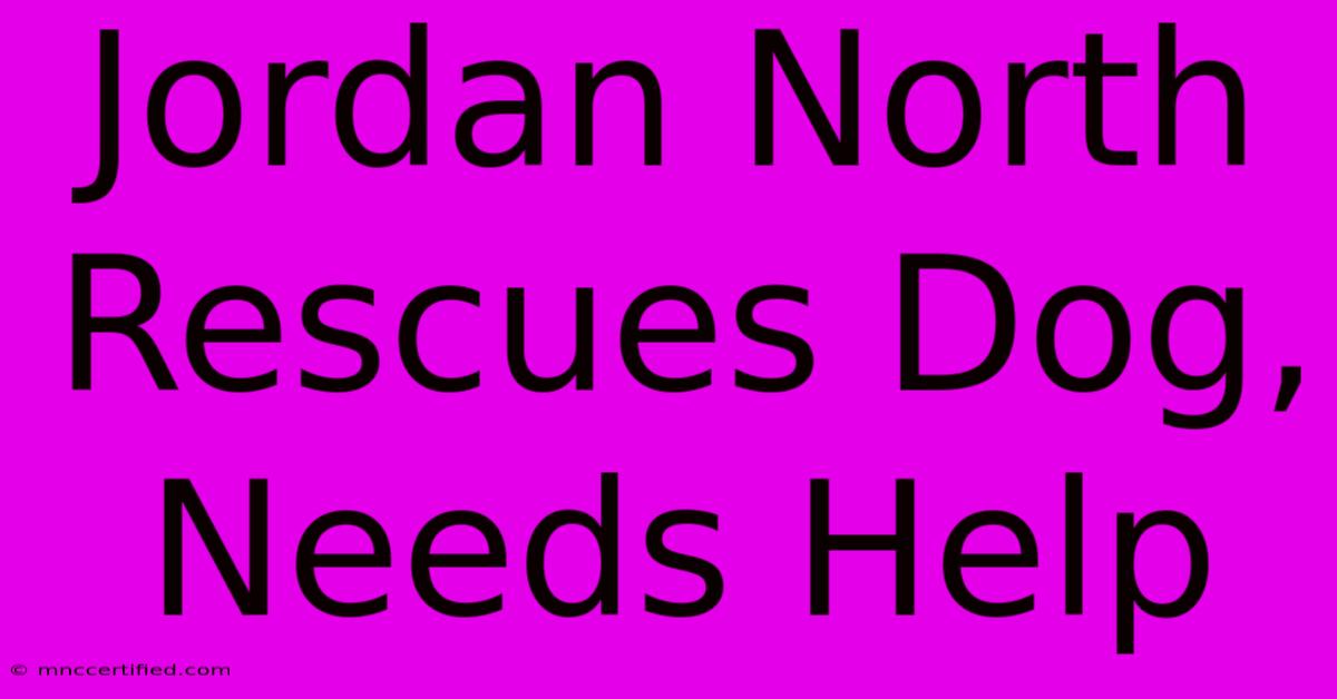 Jordan North Rescues Dog, Needs Help