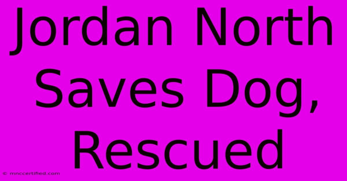 Jordan North Saves Dog, Rescued