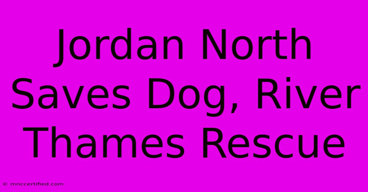 Jordan North Saves Dog, River Thames Rescue