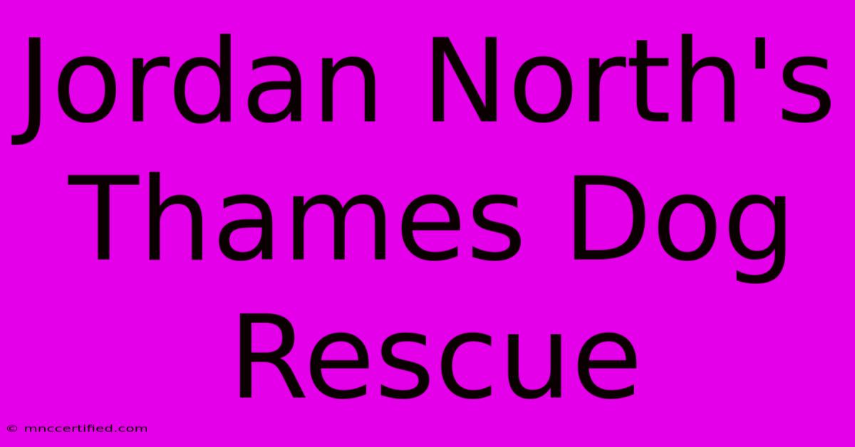 Jordan North's Thames Dog Rescue