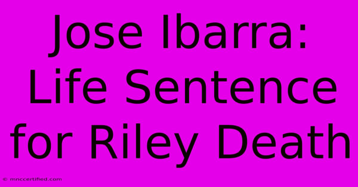 Jose Ibarra: Life Sentence For Riley Death