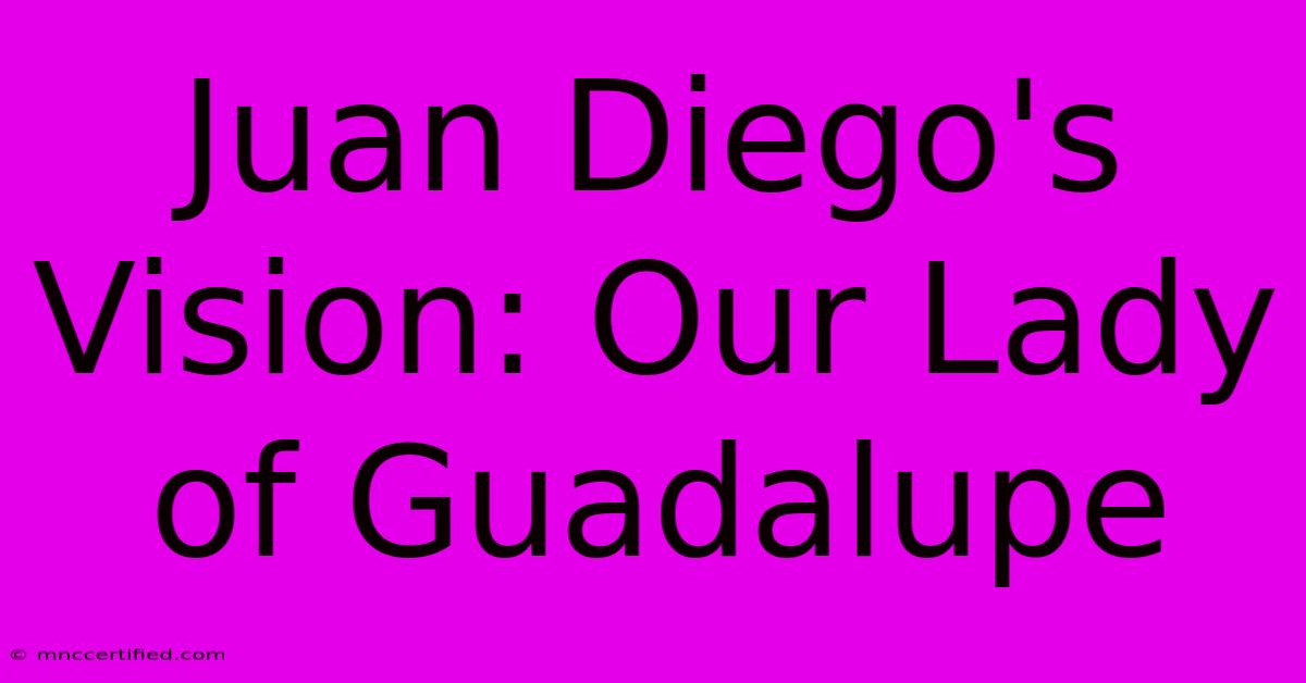 Juan Diego's Vision: Our Lady Of Guadalupe